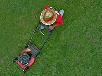 Cutting grass